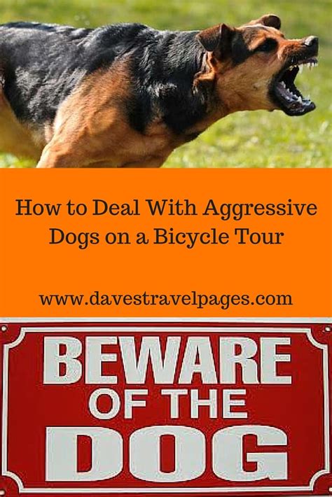 We did not find results for: How To Deal With Aggressive Dogs on a Bicycle Tour