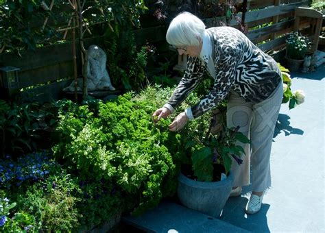 Die meisten hobbygärtner erledigen diese gern und ohne. Oma im Garten arbeiten | Stockfoto | Colourbox