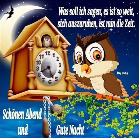 Discover more posts about katzen. Pin von Silvia auf Gute Nacht in 2020 | Schönen abend ...