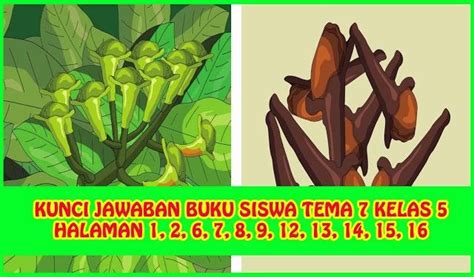 We did not find results for: Soal Dan Jawaban Bahasa Jawa Kelas 12 - Peranti Guru
