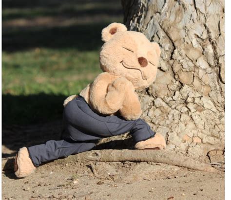 Maybe you would like to learn more about one of these? Revolved Crescent Lunge Pose Meddy Teddy | Yoga, Osos