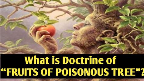 The doctrine was established in 1920 by the decision in silverthorne lumber co. Doctrine of Fruits of Poisonous Tree | Admissibility of ...