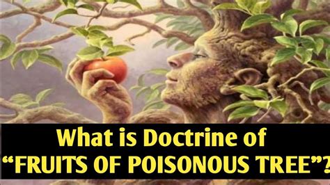 We did not find results for: Doctrine of Fruits of Poisonous Tree | Admissibility of ...