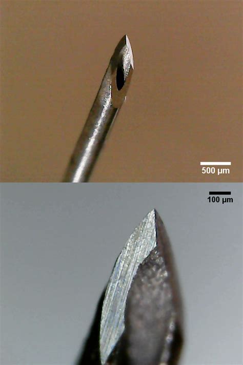 Nach bequemer lagerung wird eine staubinde am arm angelegt. Dinge unter'm Mikroskop IV - Nadeln und Kanülen - Die ...