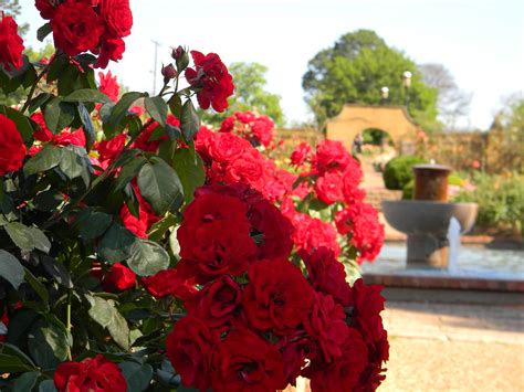 For wildlife, the caldwell zoo is less than 6 miles away and brookshire's world of wildlife museum is 2. RVFulltimingLove: Rose Garden, Tyler, Tx