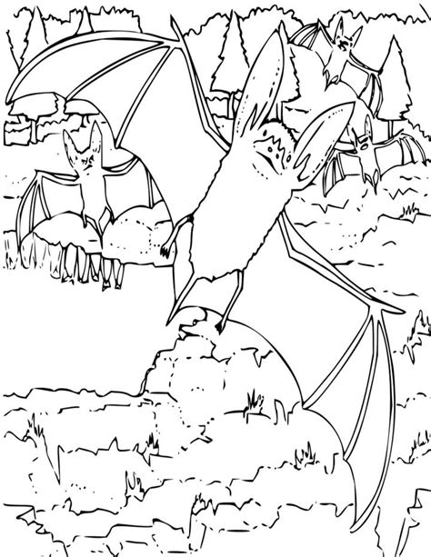Bats (chiroptera) are mammals that are distributed throughout the world except in the polar… Big Eared Bat Coloring Page for Kids - Free Printable Picture