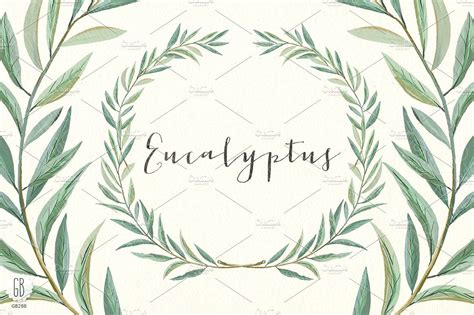 Eucalyptus wreath and leaves | Eucalyptus wreath, Eucalyptus, Watercolor green