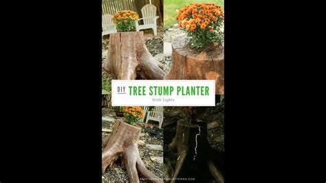 This diy tree stump removal is as easy as it is inexpensive. DIY Tree Stump Planter Dry Brushing the Stain - YouTube