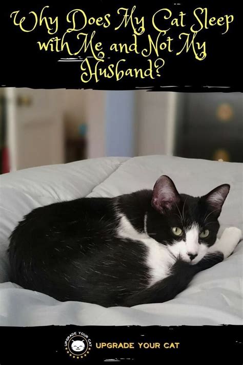 A good cat repellent spray would be the mega sonic cat repellent. Why Does My Cat Sleep with Me and Not My Husband | Cat ...