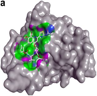 When the protease we are testing digests casein, the amino. HCV NS3/4A Protease and its Emerging Inhibitors - MedCrave ...