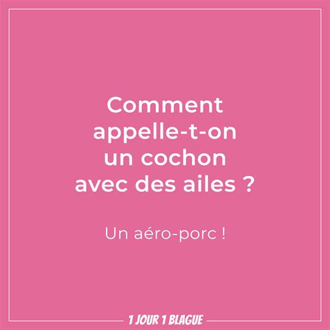 Maybe you would like to learn more about one of these? 1 jour 1 blague | Comment appelle-t-on un cochon avec des ...