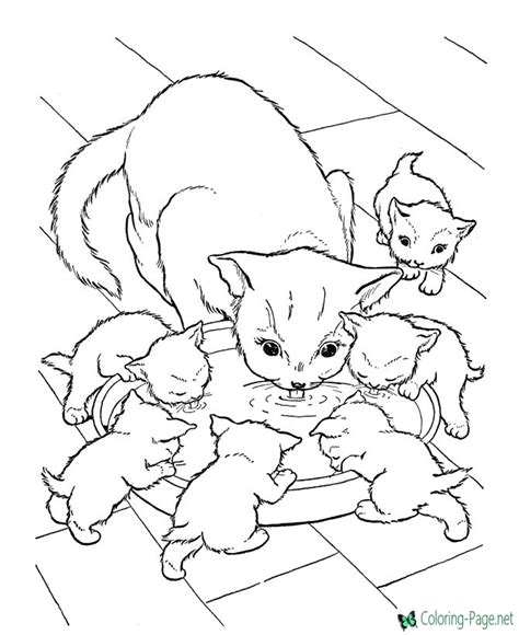 Coloring page with striped cats in the garden. Cat Coloring Pages