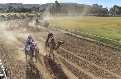 The annual alice springs camel cup was held on saturday at blatherskite park, in the northern territory. Alice Springs Camel Cup at Blatherskite Park Northern ...