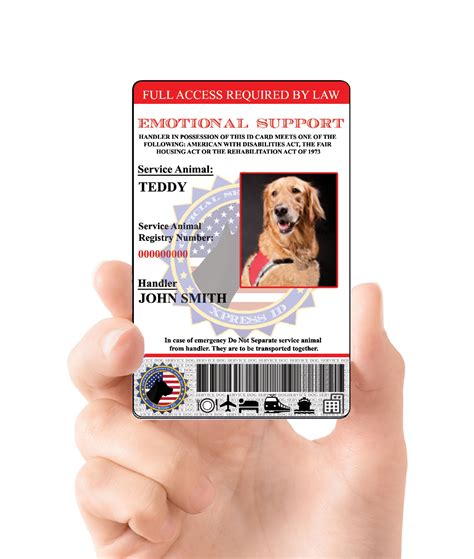 Registering an emotional support animal does not confer any legal benefits. Emotional Support Animal ID Card | Emotional support ...