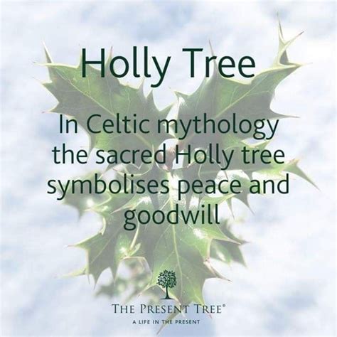 Meaning of boughs of holly. Pin by Jessica on Herbs,flower,trees meaning | Holly tree ...