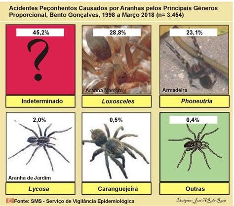 A poderosa picada da aranha marrom. Aranha-marrom e armadeira são responsáveis por mais de 50% ...