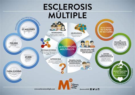 The brain and spinal cord. ¡Mójate por la Esclerosis Múltiple!