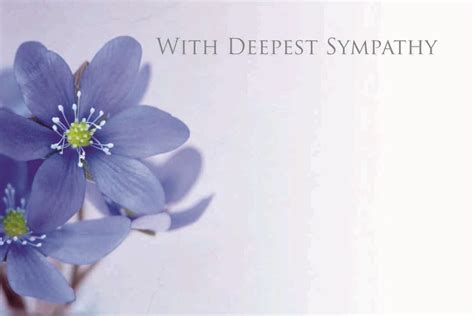 Personalised sympathy cards, fresh flowers and gifts. "With Deepest Sympathy" Blue Flower Sympathy Card (x50 ...