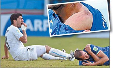 Uruguay'ın ve liverpool'un süper yıldızı luis suarez, ikili fifa, i̇talya maçında giorgio chiellini'yi ısıran uruguaylı forvet luis suarez hakkında soruşturma. Coupe du monde : Suarez suspendu de 9 matches ...