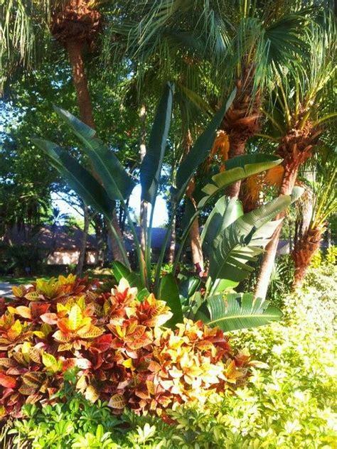 Welcome home to paradise palms in beautiful san diego, ca. Tropical landscape FL | Tropical landscaping, Tropical ...