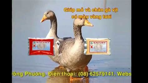 Bình dương nghiêm cấm lợi dụng tiêm vắc xin để ép xét nghiệm, thu phí. gia tri dinh duong cua Gac - YouTube