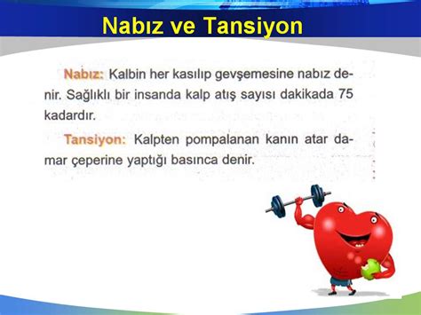 Nabız parçası, hidra ve şehinşah'ın buca'da beraber kaldıkları sırada oluşan bir parçadır. Nabız Nedir? Tansiyon Nedir? -6.Sınıf Fen 2015-2016
