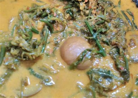 Hidangan berkuah kaya rempah ini cocok disantap sebagai sarapan ini dia ketupat sayur padang terenak di kelapa gading, kuah gulainya mantab! Resep Gulai pakis jengkol oleh Nurhayati Nst | Resep ...