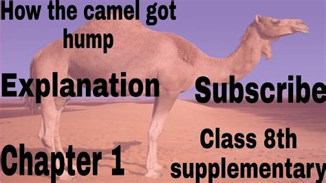 How the camel got his hump. Class 8 English | How the camel got his hump | Chapter 1 ...