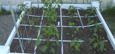 Square foot gardeners also find planting and fertilizing to be easier as the soil is loose and in square foot gardening, you can comfortably grow one tomato plant per grid square. Square ft gardening chart | Plant spacing, Square foot ...