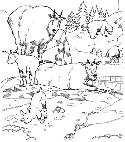 27 beautiful nature coloring pages: Zoo, Disegni per bambini da colorare