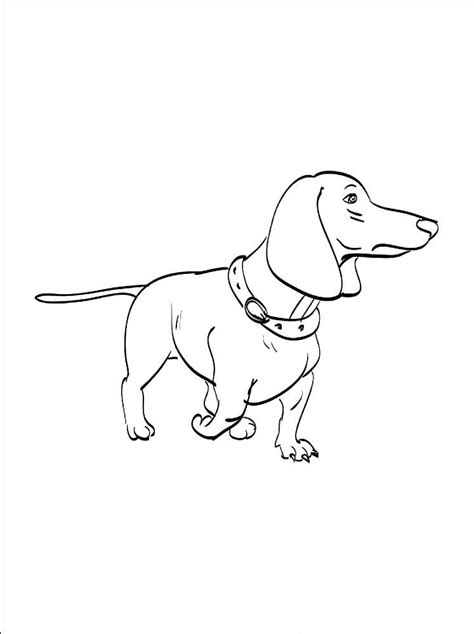 This is a good picture to start things off with as it is relatively. Dachshund dog Coloring Pages to download and print for free