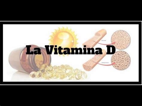 Pesce e frutti di mare: LA VITAMINA D: ALIMENTI, DOSI E PROPRIETA! - YouTube