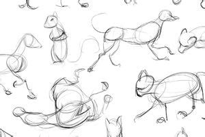 View a list of michelangelo drawings by date and learn more about the drawings that michelangelo buonarroti completed between 1488 and 1564. Pin by Mario Estioko on for animate | Animal drawings, Gesture drawing, Animals day