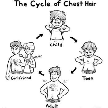 Nutrients like vitamins, minerals, proteins, and polyunsaturated fats can help stimulate the hair. The Cycle of Chest Hair