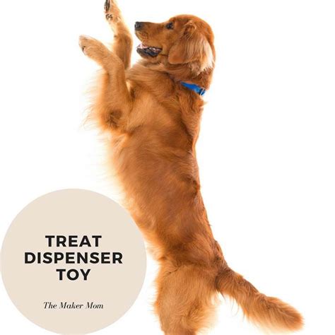 Maybe you would like to learn more about one of these? 10+ Best DIY Dog Puzzle Toys and Games to Make at Home in ...