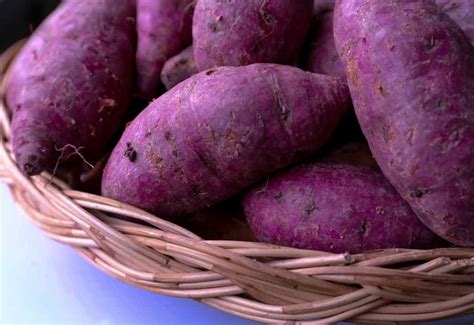 Olahan makanan dari ubi ungu yang paling mudah ditemukan adalah keripik, kolak, ubi bakar, ubi goreng dan ubi rebus. 6 Kreasi Resep Ubi Ungu yang Enak & Sehat