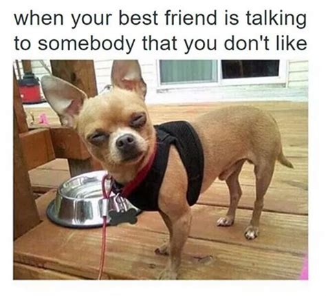 If you know your friend's sense of humor pretty well, consider cheering him or her up by sending a daily joke or funny story via text. 30 Hilarious Facebook Memes To Cheer You Up - Funny ...