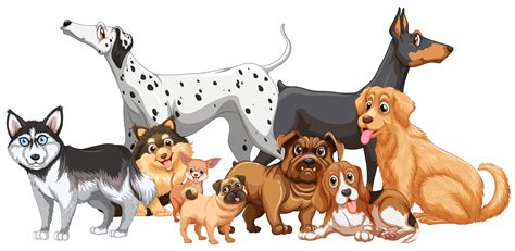 Group of different kind of dogs 368220 - Download Free Vectors, Clipart ...