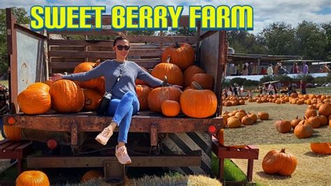 Facebook/sweet berry farm, marble falls. #texas#october2020#harvest#fall Sweet Berry Farm in Marble ...
