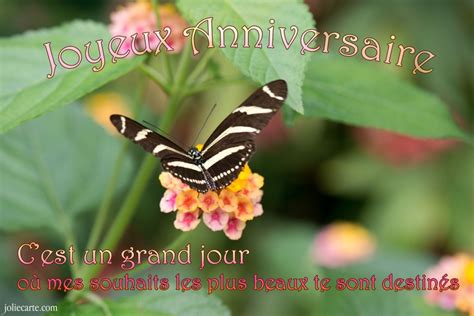 Carte virtuelle anniversaire gratuite dromadaire. image anniversaire papillon