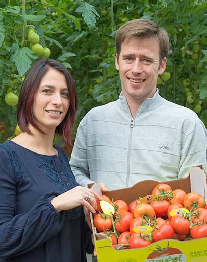 Trois tonnes de tomates abandonnées aux abords d'un champ de maïs à briec, dans le secteur du pénity. Our values | Saveol