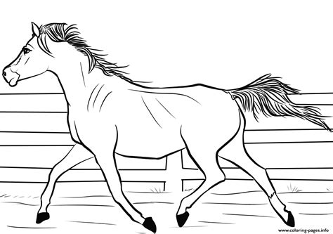 We've selected the most beautiful drawings of horses for you to make stunning creations. Arab Horse Coloring Pages Printable