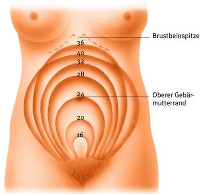 Von solchen hirngespinsten wie plazentalösung abweichen, da dann immer starke schmerzen und blutungen kommen würden 4. Beule im Bauch - Juli 2014 BabyClub - Seite 2 - BabyCenter