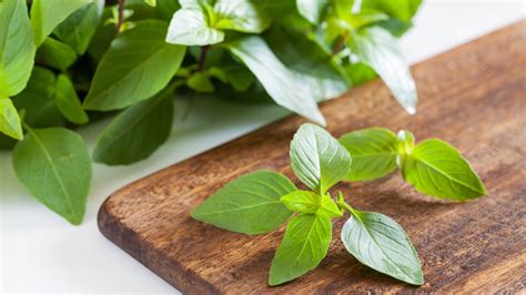 Cilantro can be replaced in most recipes. Here's What You Can Substitute For Cilantro