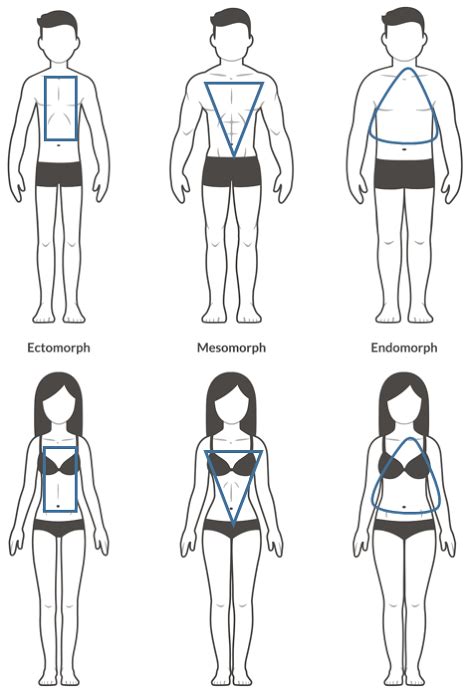 We will draw with this stickman in this step. Diagram showing male and female versions of the three body types #Drawingtips | Body type ...