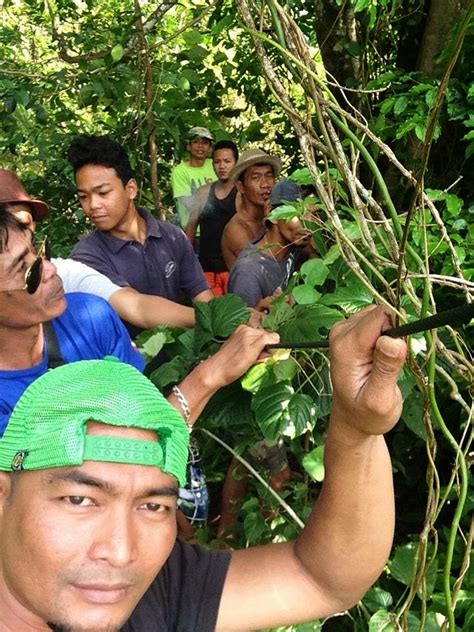 Dalle attrazioni più gettonate alle gemme nascoste, avrai solo l'imbarazzo della con una posizione panoramica sulla spiaggia di tioman island, questo resort si trova a 0,1 km da monkey beach e a 32 km da mersing. Aktiviti dan Cuaca di Pulau Tioman | Bulan February 2015 ...