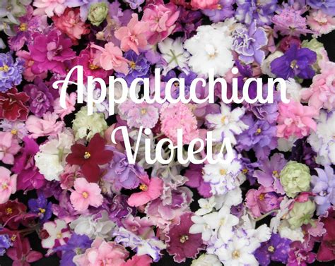 Landline telephone telephone smartphone telephone portable android panasonic telephone kx dalian ronsun home and garden products limited. Appalachian Violets - Shopping - Hickory - Hickory