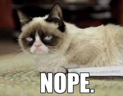 Lift your spirits with funny jokes, trending memes, entertaining gifs, inspiring stories, viral videos, and so much more. Grumpy Cat No GIF by Internet Cat Video Festival - Find ...