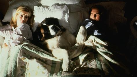 These are what make going to the cinema fun, exciting, and thrilling. 15 best Hollywood dog movies ever that every dog lover ...