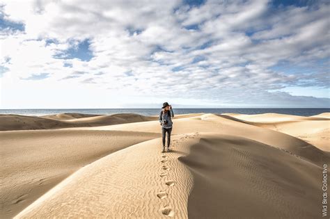 Allez au bout de ce que vous faites. Les dunes de Maspalomas, le joyau de Gran Canaria - Wild Birds Collective